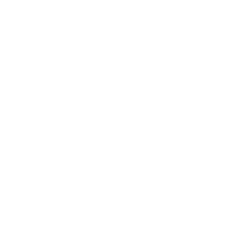 Priyonix Logo